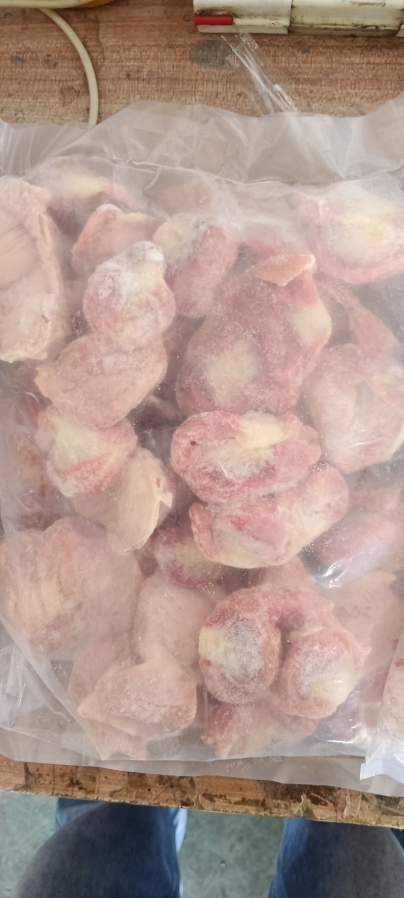白毛种母鸡鸡胗
