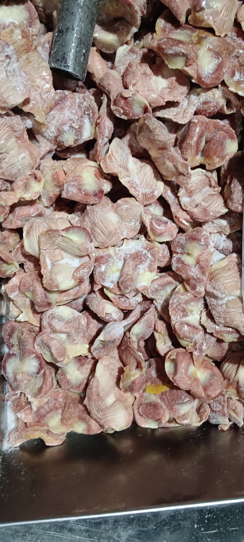 白毛种母鸡鸡胗