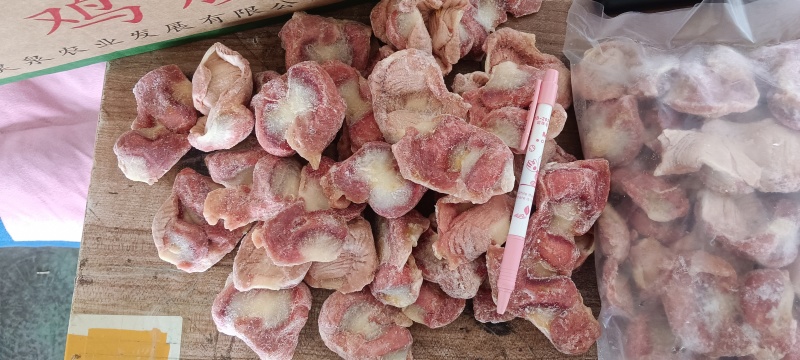 白毛种母鸡鸡胗
