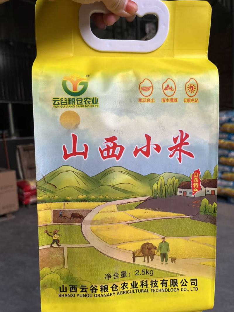 山西小米保质保量供货常年看货有货价钱实惠