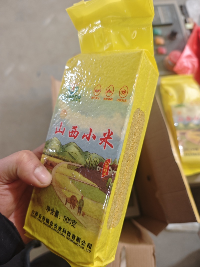 山西小米保质保量供货常年看货有货价钱实惠