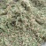 伸筋草（新货～量大优惠）质量好欢迎咨询采购