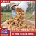 山东土豆荷兰十五沃土5号v7土豆量大从优规格齐全
