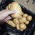 山东土豆荷兰十五沃土5号v7土豆量大从优规格齐全