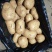 山东土豆荷兰十五沃土5号v7土豆量大从优规格齐全