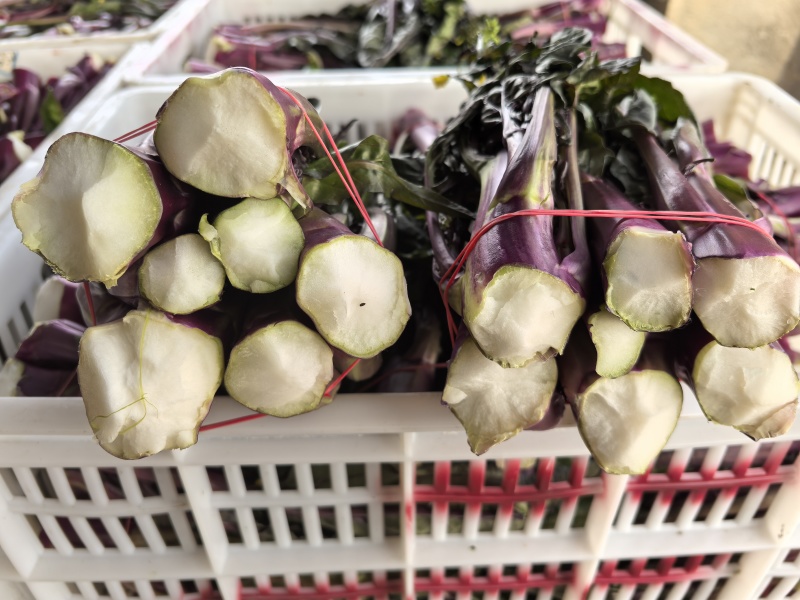 红油菜苔