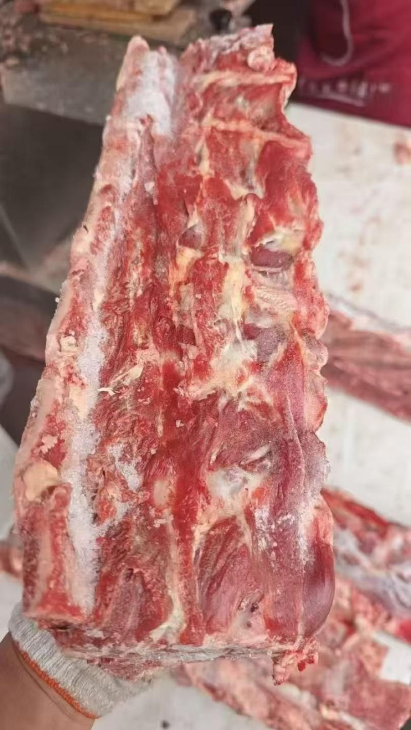牛脊骨