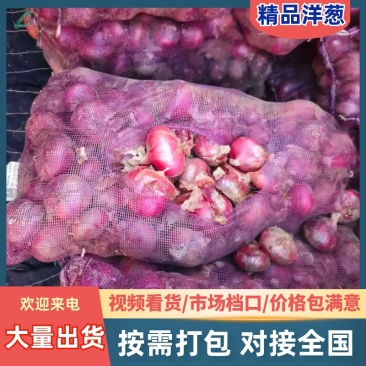 山东红皮洋葱红元帅红美河西假河西洋葱规格齐全