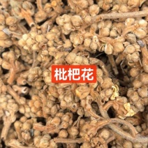 枇杷花