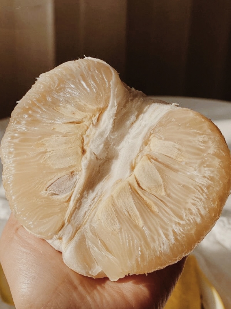 梅州沙田柚