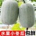 水果冬瓜，产地直发，量大优惠，对接全国市场电商平台欢迎合