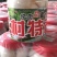 桶装鹅蛋鹅蛋三证齐全，全国发货货源充足，
