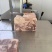 原切羊肉砖
