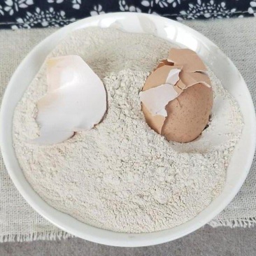 鸡蛋壳粉