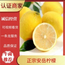 四川安岳柠檬新鲜黄柠檬，现摘现发产地直发包邮到家
