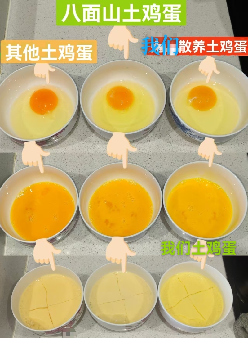 湖北土鸡蛋常年供应对接电商市场商超量大价优