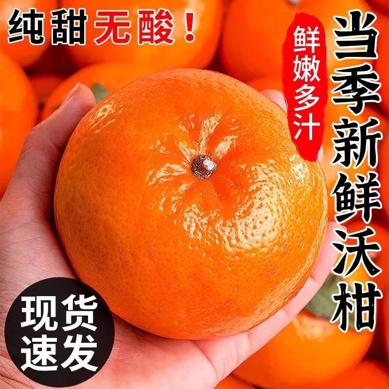 广西武鸣沃柑/产区直发/大量有货/当天发车