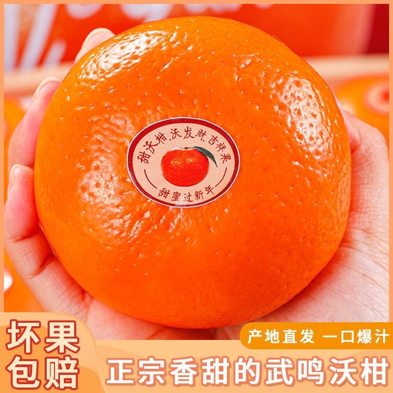 广西武鸣沃柑/产区直发/大量有货/当天发车