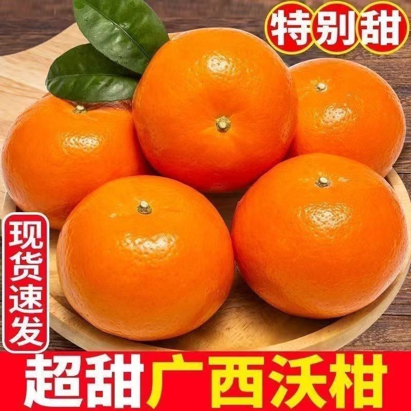 广西武鸣沃柑/产区直发/大量有货/当天发车