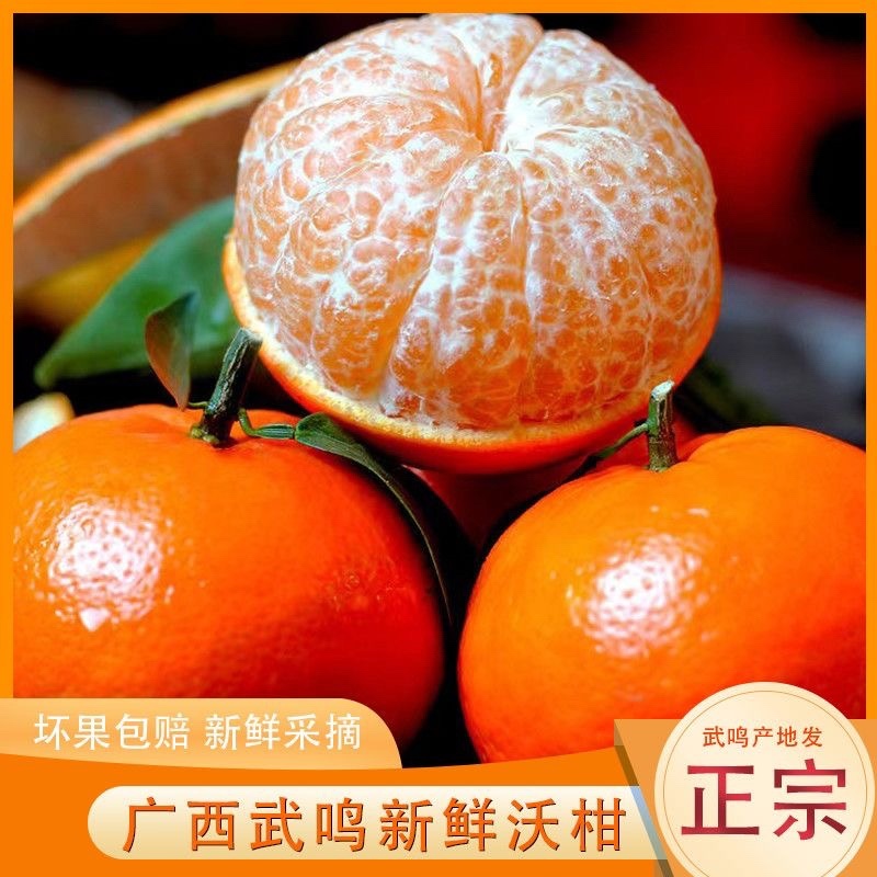 广西武鸣沃柑/产区直发/大量有货/当天发车