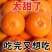 广西武鸣沃柑/产区直发/大量有货/当天发车