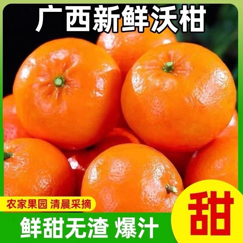 广西武鸣沃柑/产区直发/大量有货/当天发车