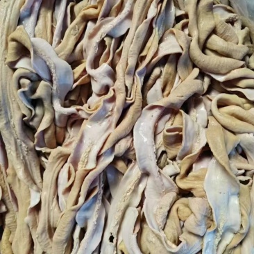 牛小肠