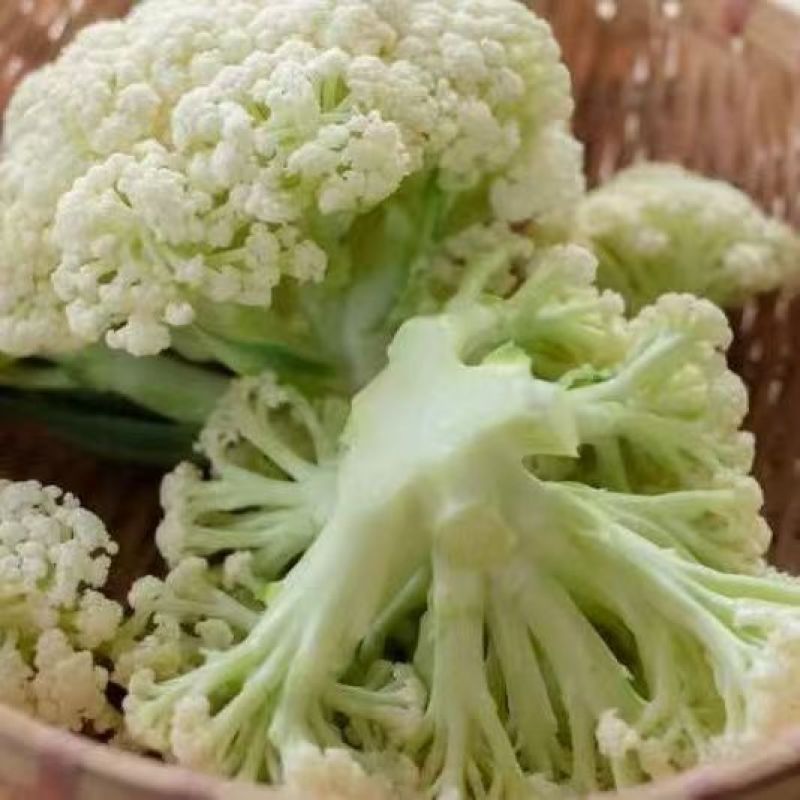 河南新鲜菜花，产地一手货源量大优惠，对接全国市场电商平台