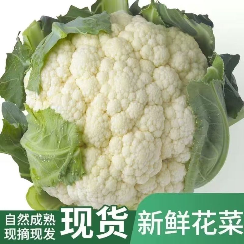 河南新鲜菜花，产地一手货源量大优惠，对接全国市场电商平台