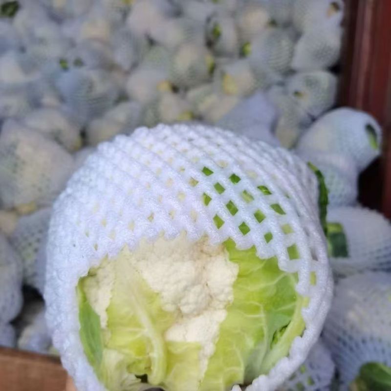 河南新鲜菜花，产地一手货源量大优惠，对接全国市场电商平台