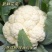 河南新鲜菜花，产地一手货源量大优惠，对接全国市场电商平台
