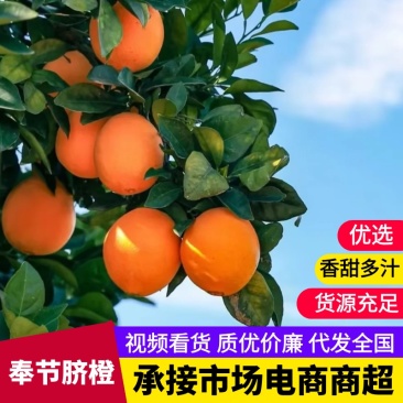 【推荐】精品奉节脐橙大量供应代发全国香甜多汁精选