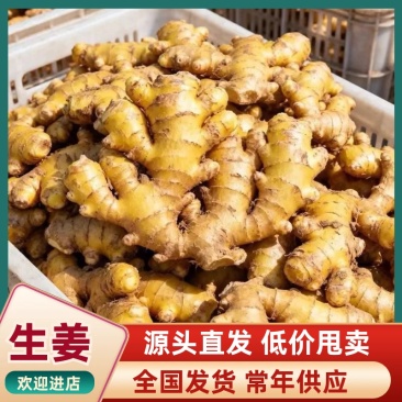 山东生姜大黄姜小黄姜面姜规格齐全产地直发品质好