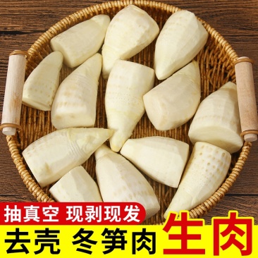 新鲜冬笋，时今蔬菜头茬冬笋笋肉。笋肉支持视频验货。