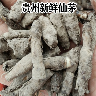 贵州中药材纯野生独脚仙茅新鲜泡酒煲汤鲜货