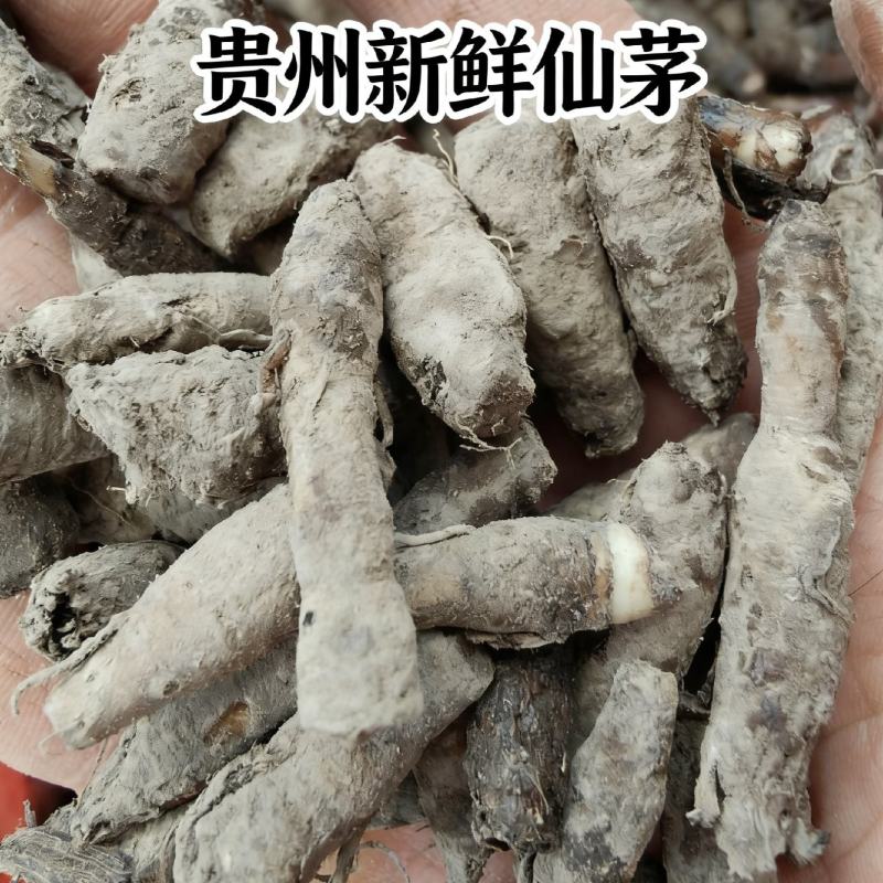 贵州中药材纯野生独脚仙茅新鲜泡酒煲汤鲜货
