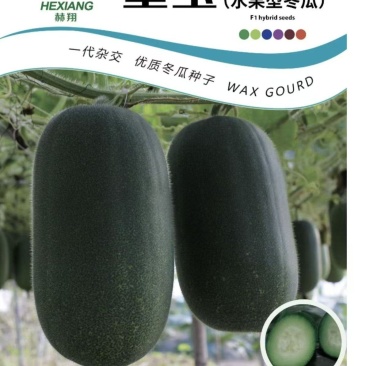 杜绝假货冬瓜种子水果型迷你小冬瓜一代杂交早熟蔬菜种子