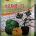 豫艺稳健一号西瓜砧木后期耐热膨瓜速度快共生性强