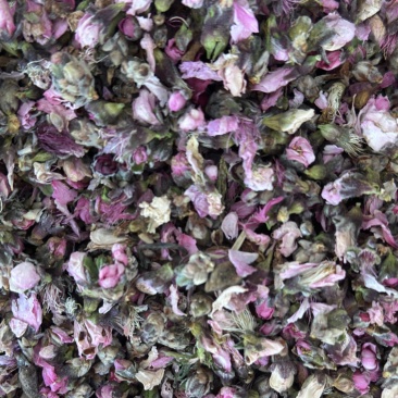 桃花新桃花山东桃花手工精选地道药材诚信**质量保证售后无忧