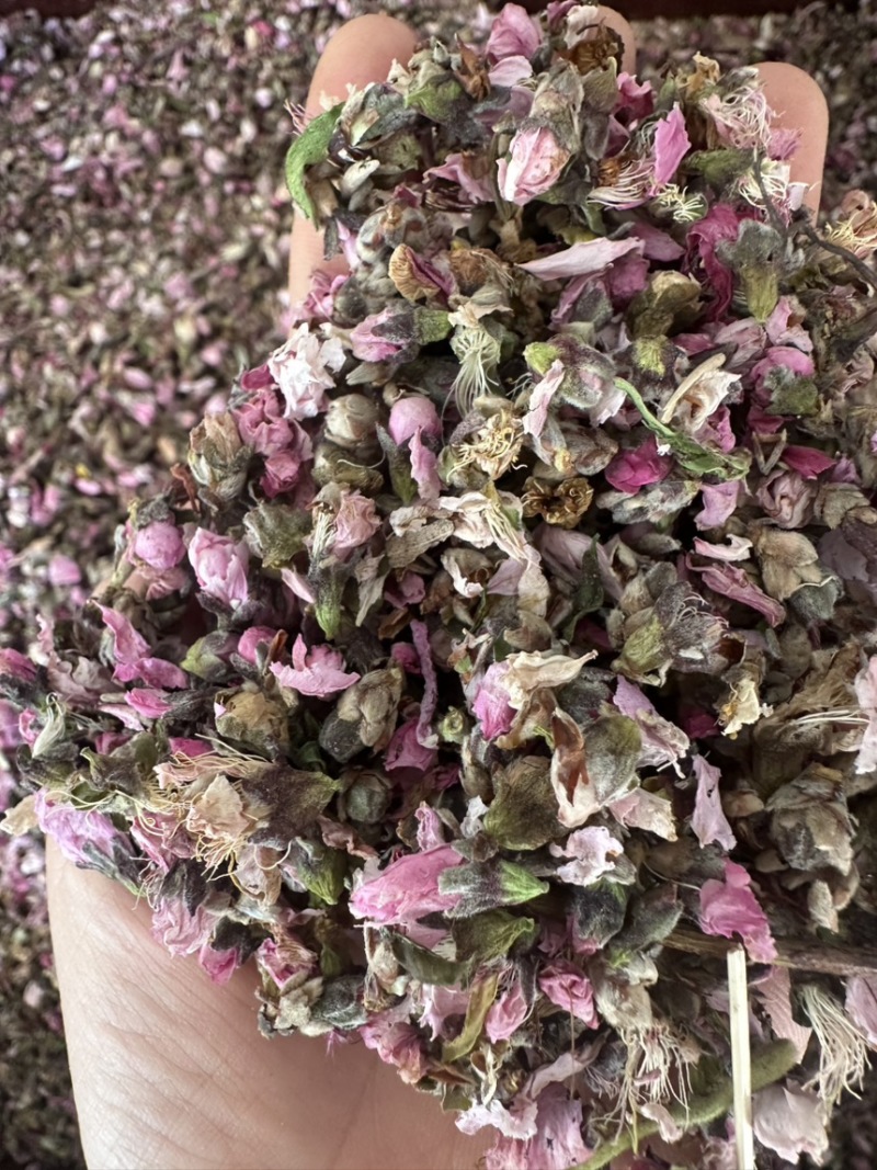 桃花新桃花山东桃花手工精选地道药材诚信**质量保证售后无忧