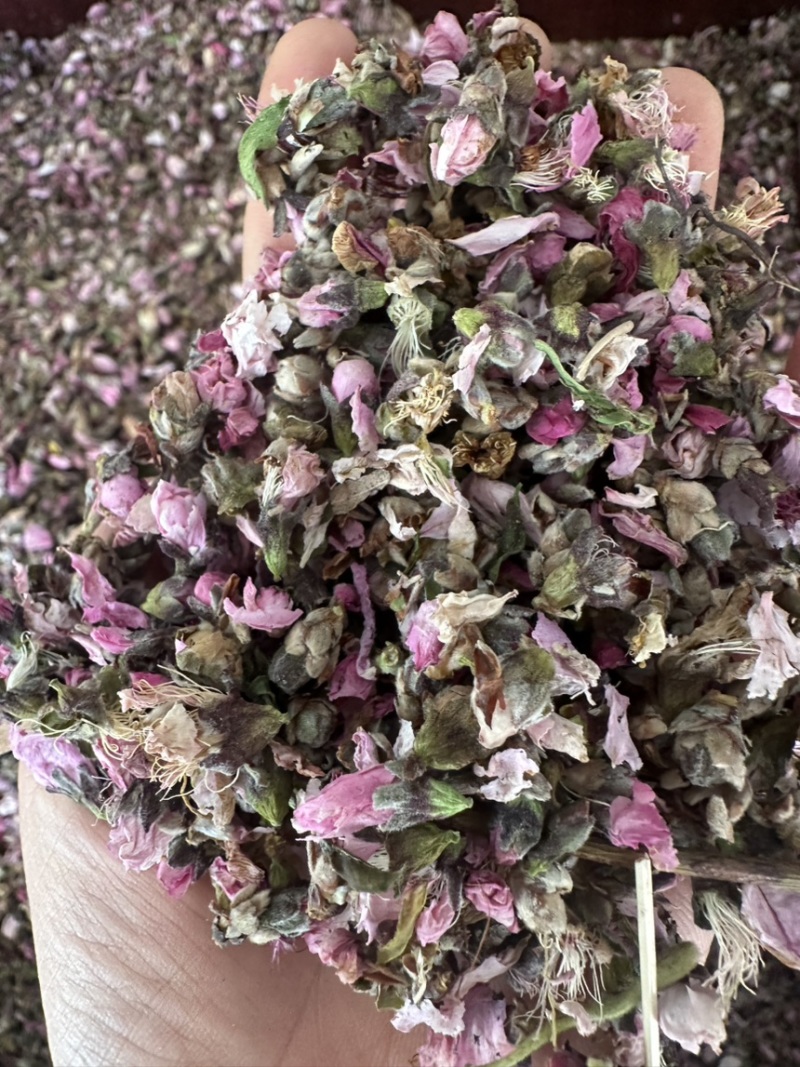 桃花新桃花山东桃花手工精选地道药材诚信**质量保证售后无忧
