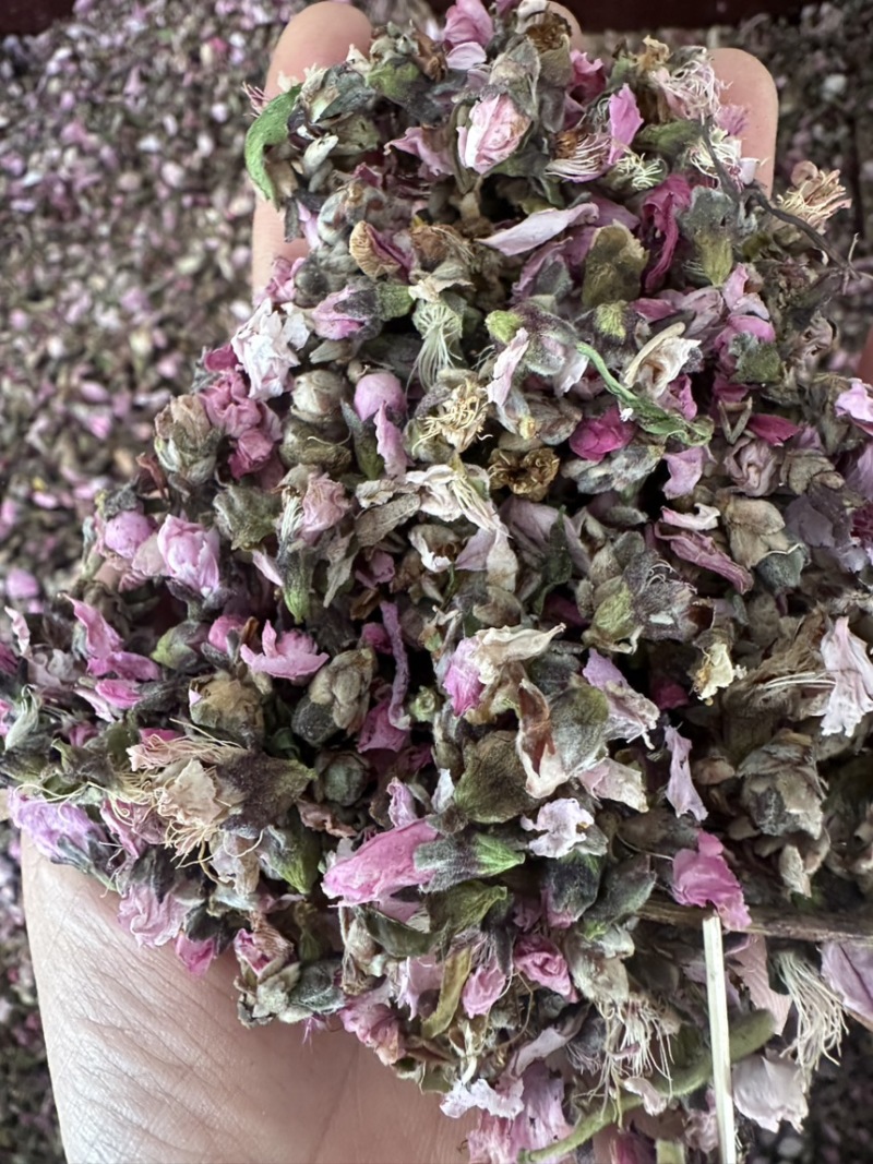 桃花新桃花山东桃花手工精选地道药材诚信**质量保证售后无忧