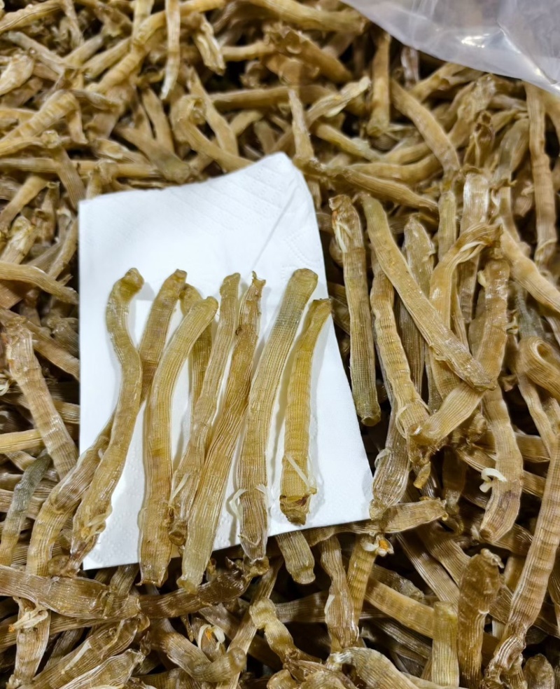 沙虫干