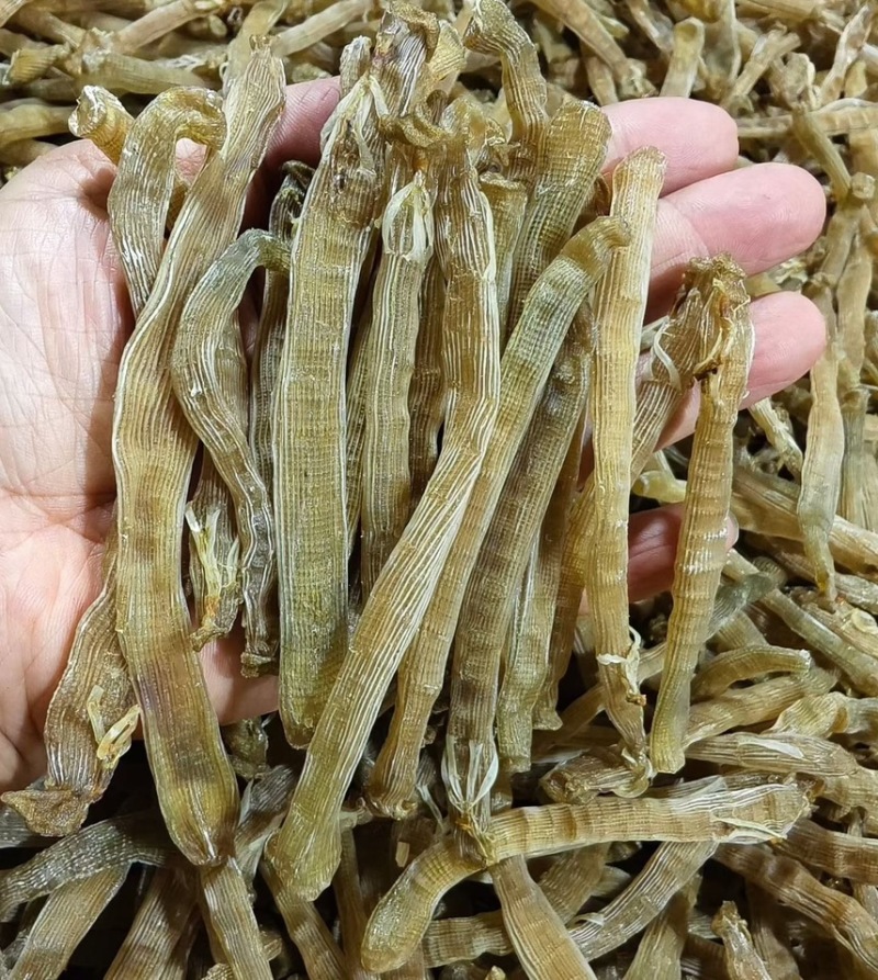 沙虫干