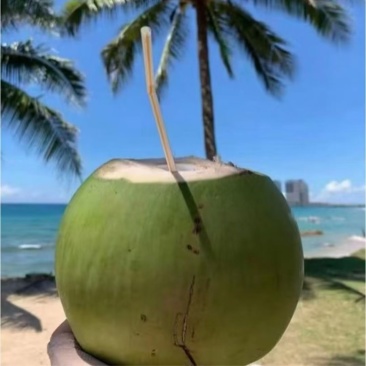 海南文昌椰青，支持批发，一件代发