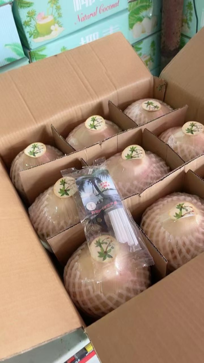 海南文昌椰青，支持批发，一件代发