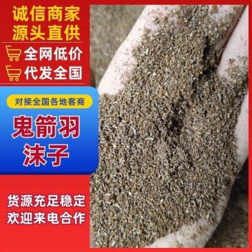 鬼箭羽沫子