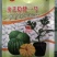 豫艺稳健一号西瓜砧木后期耐热膨瓜速度快共生性强