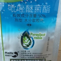 吡唑醚菌酯有效成分含量：50%水分散粒剂