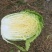 黄心大白菜
